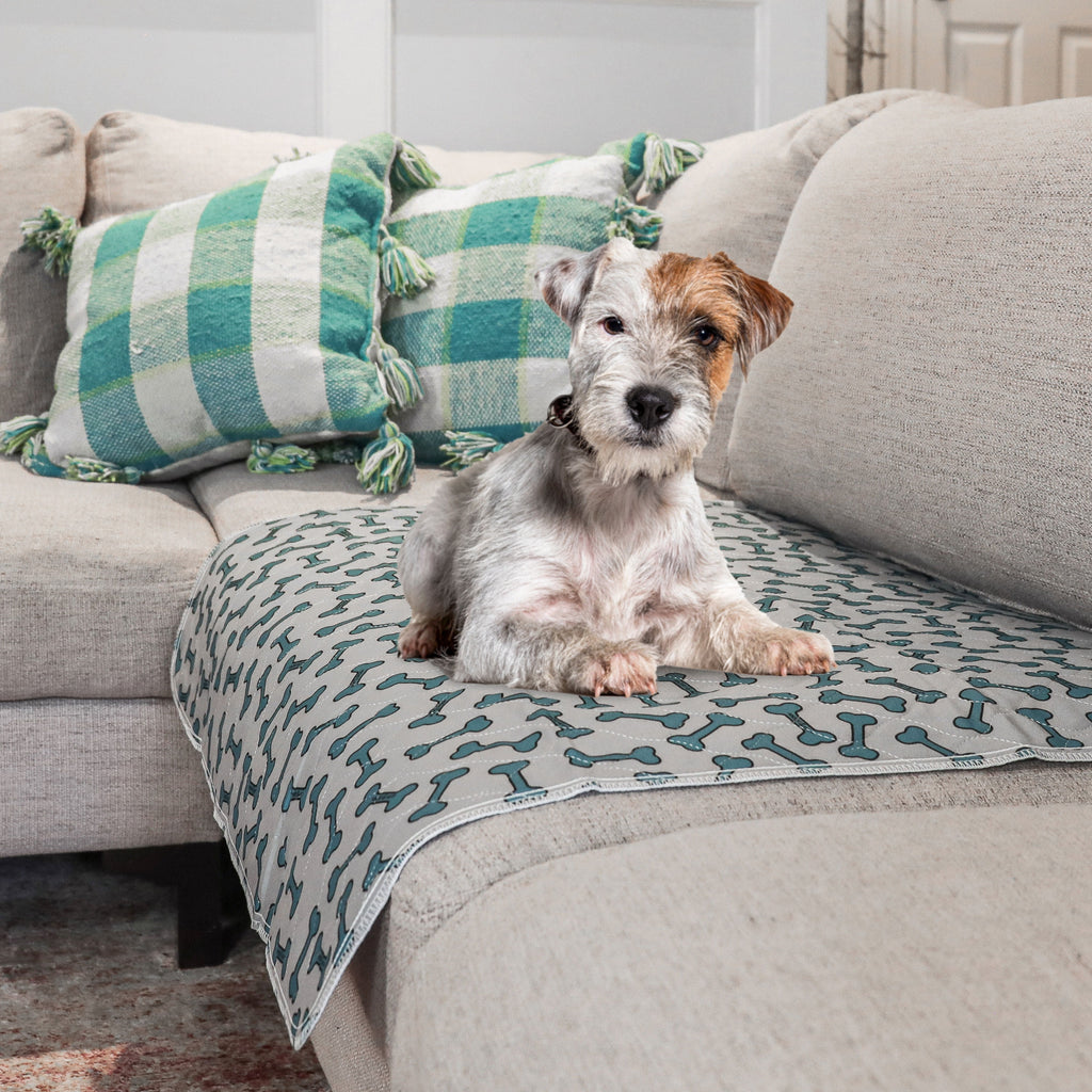 | Dog | Senior Care | Washable Waterproof Pads | Dignity for Leaky Days