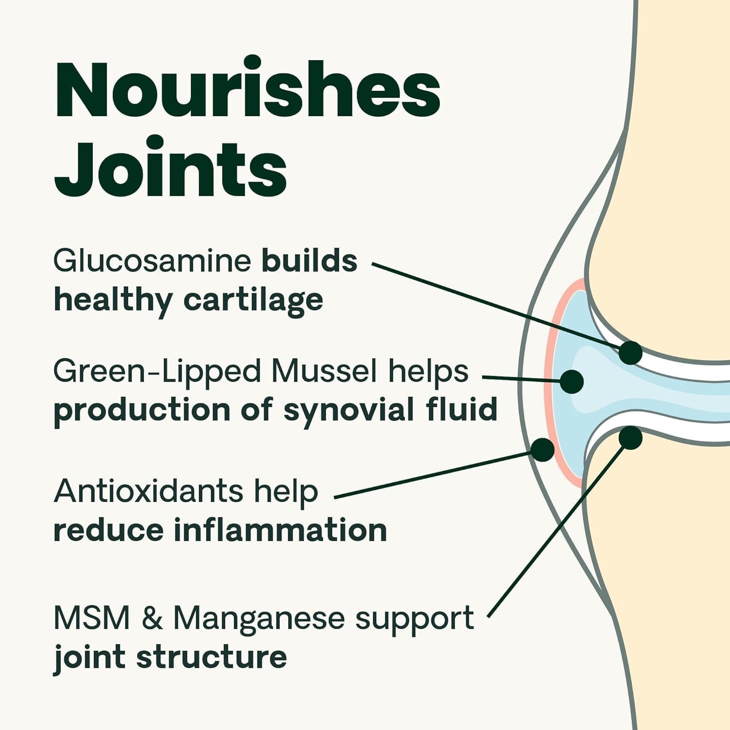 Extra Strength Healthy Hip & Joint Chews for Cats, Glycoflex Glucosamine and Green-Lipped Mussel