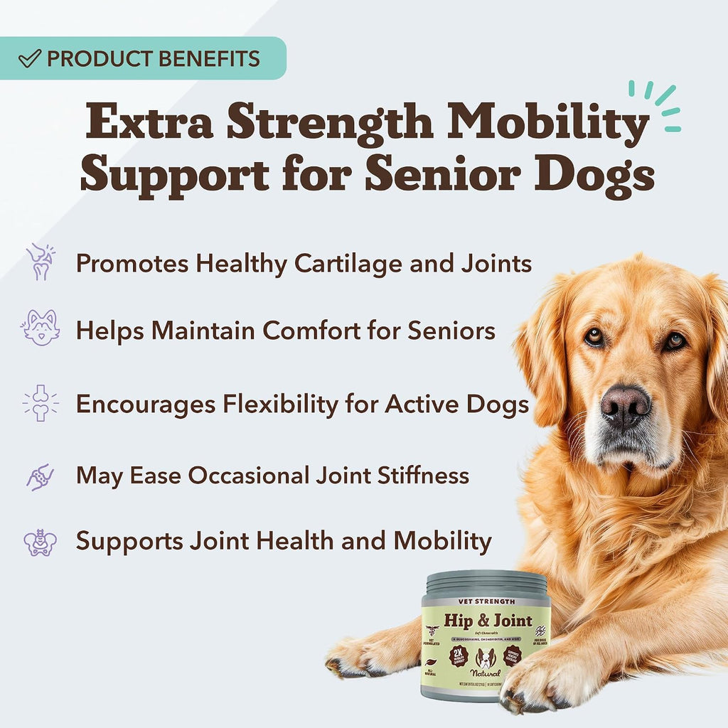 Vet Strength Hip & Joint Chews for Senior Dogs | Green Lipped Mussel