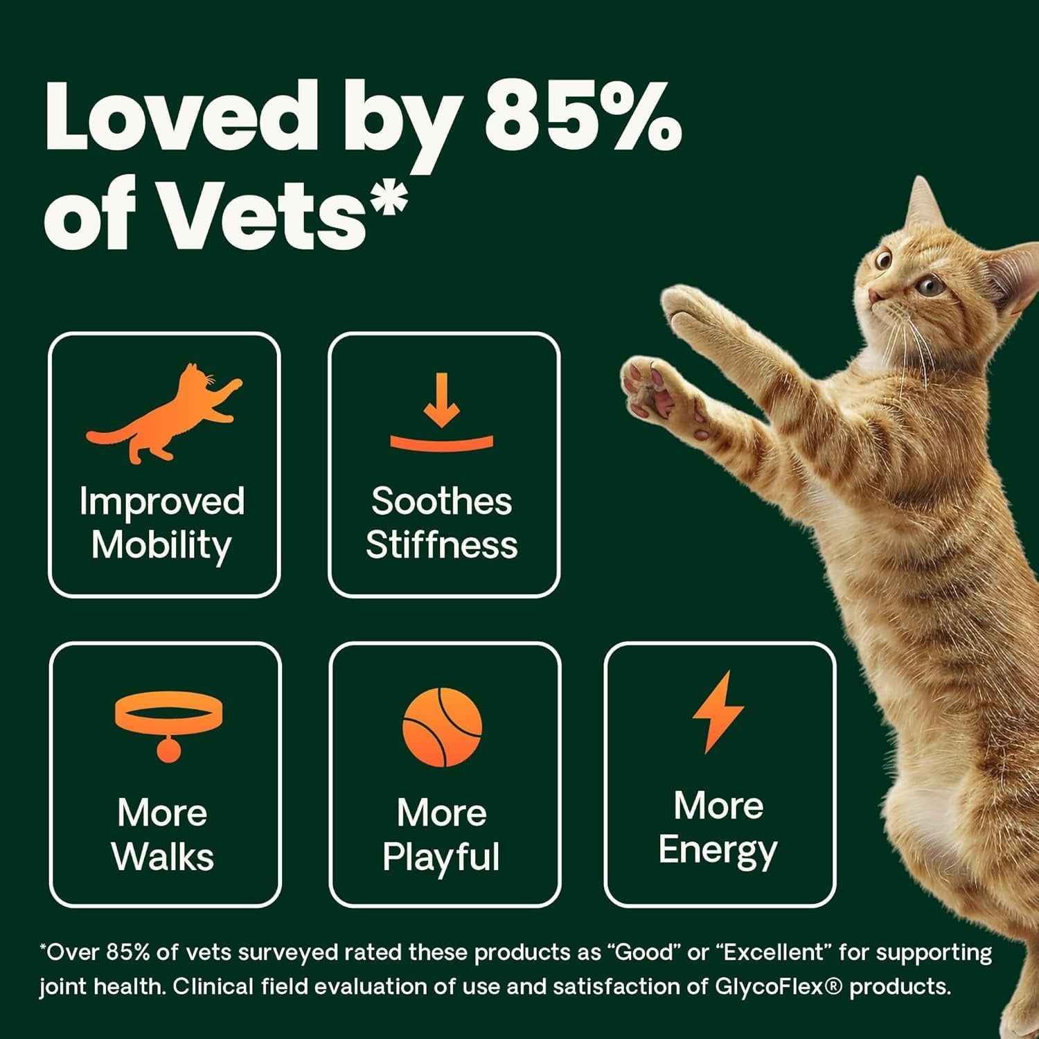 Extra Strength Healthy Hip & Joint Chews for Cats, Glycoflex Glucosamine and Green-Lipped Mussel
