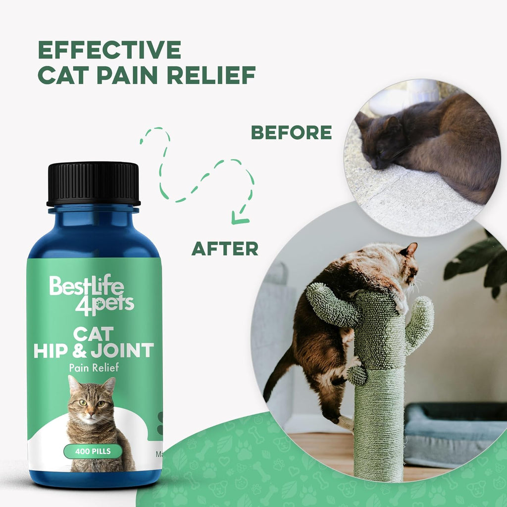 Cat Joint & Mobility · Soporte Articular Senior