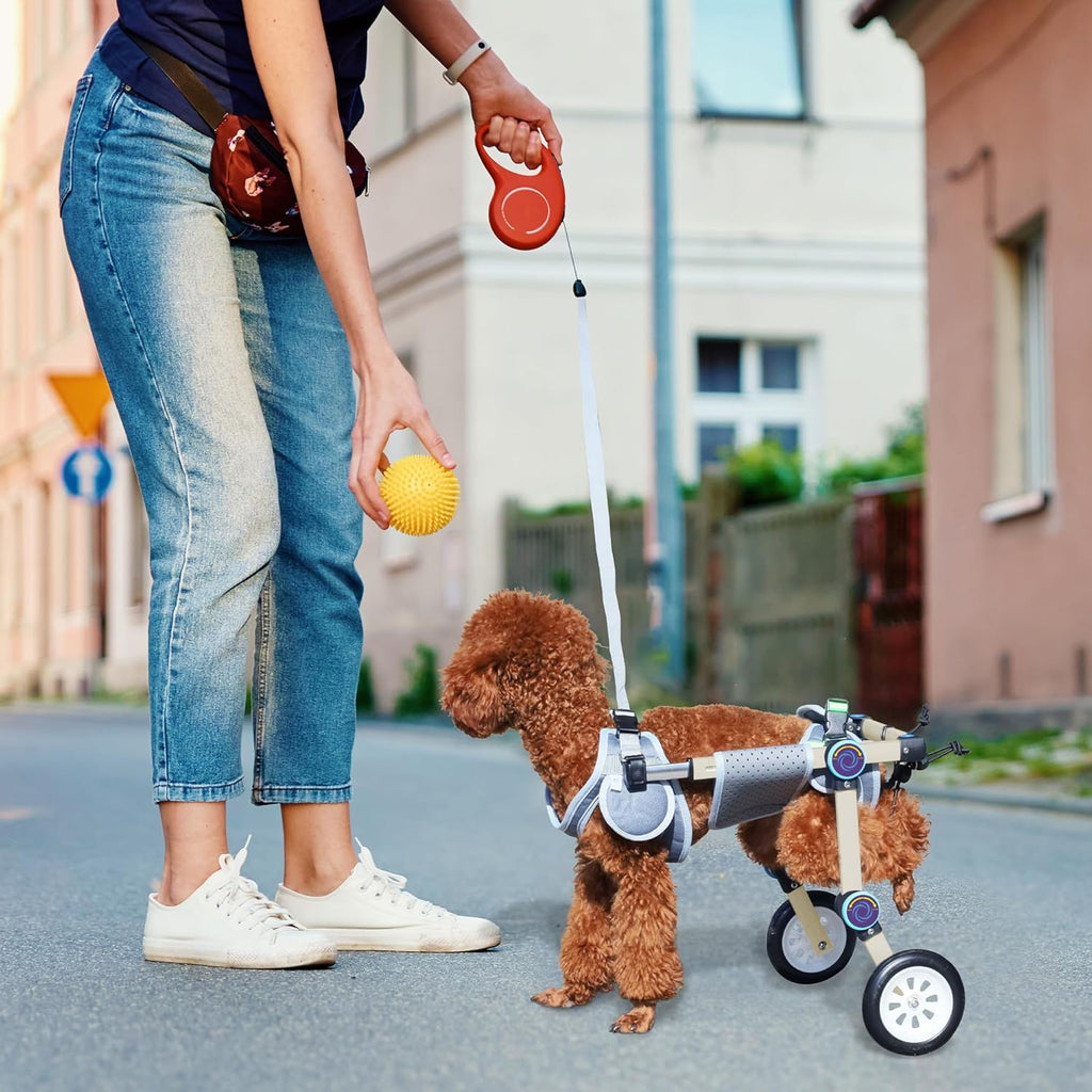 | Dog | Senior Mobility | Rear-Leg Wheelchair | Keep Walking Together