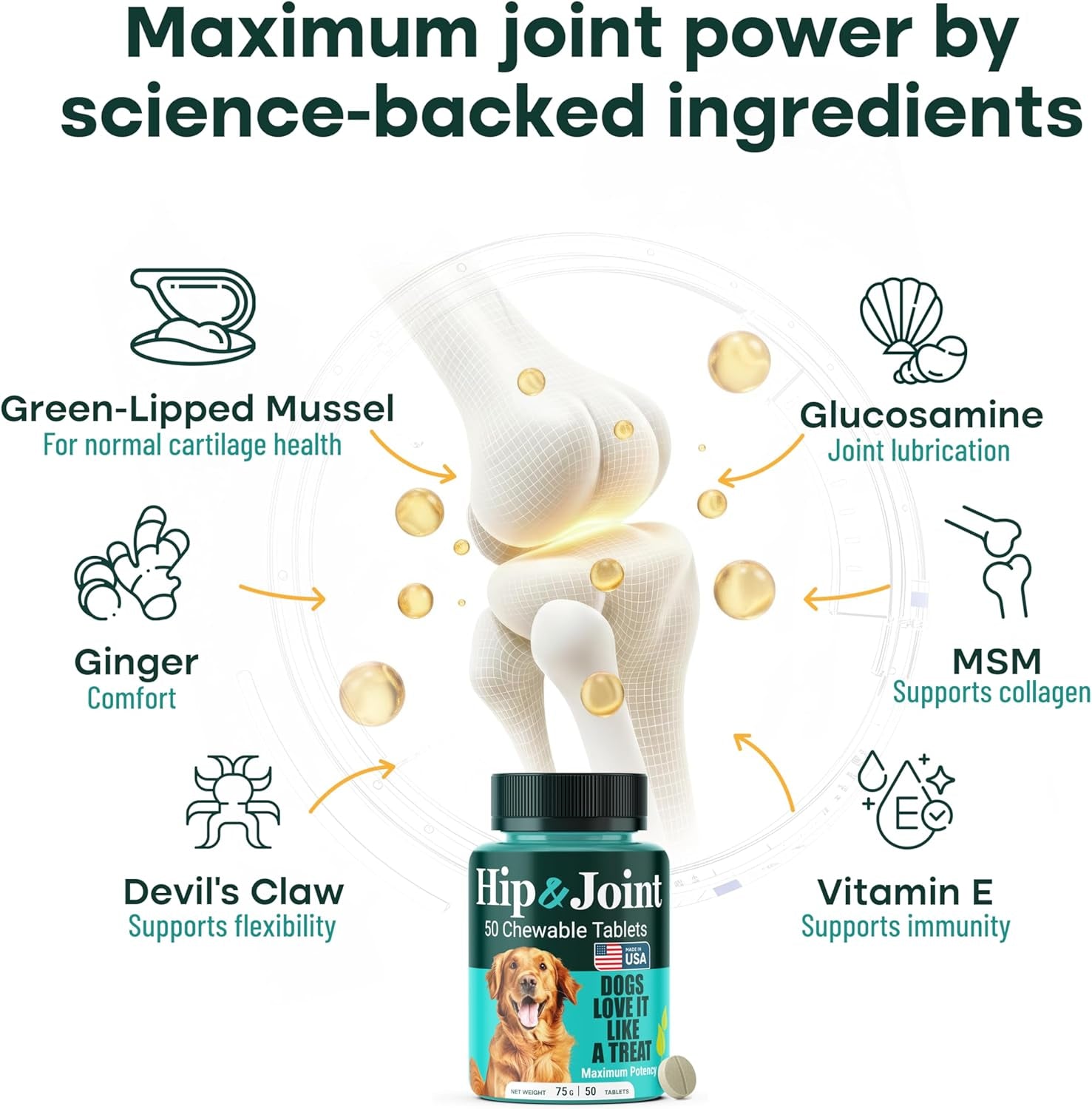 Hip & Joint Supplement for Dogs, Green-Lipped Mussel Chewables (50 Ct)