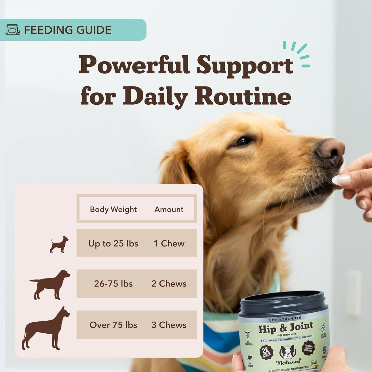 Vet Strength Hip & Joint Chews for Senior Dogs | Green Lipped Mussel