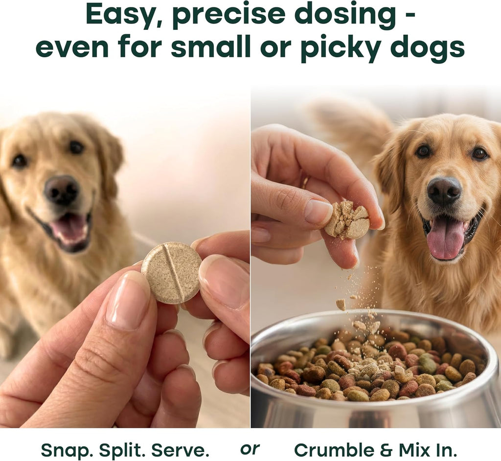Hip & Joint Supplement for Dogs, Green-Lipped Mussel Chewables (50 Ct)