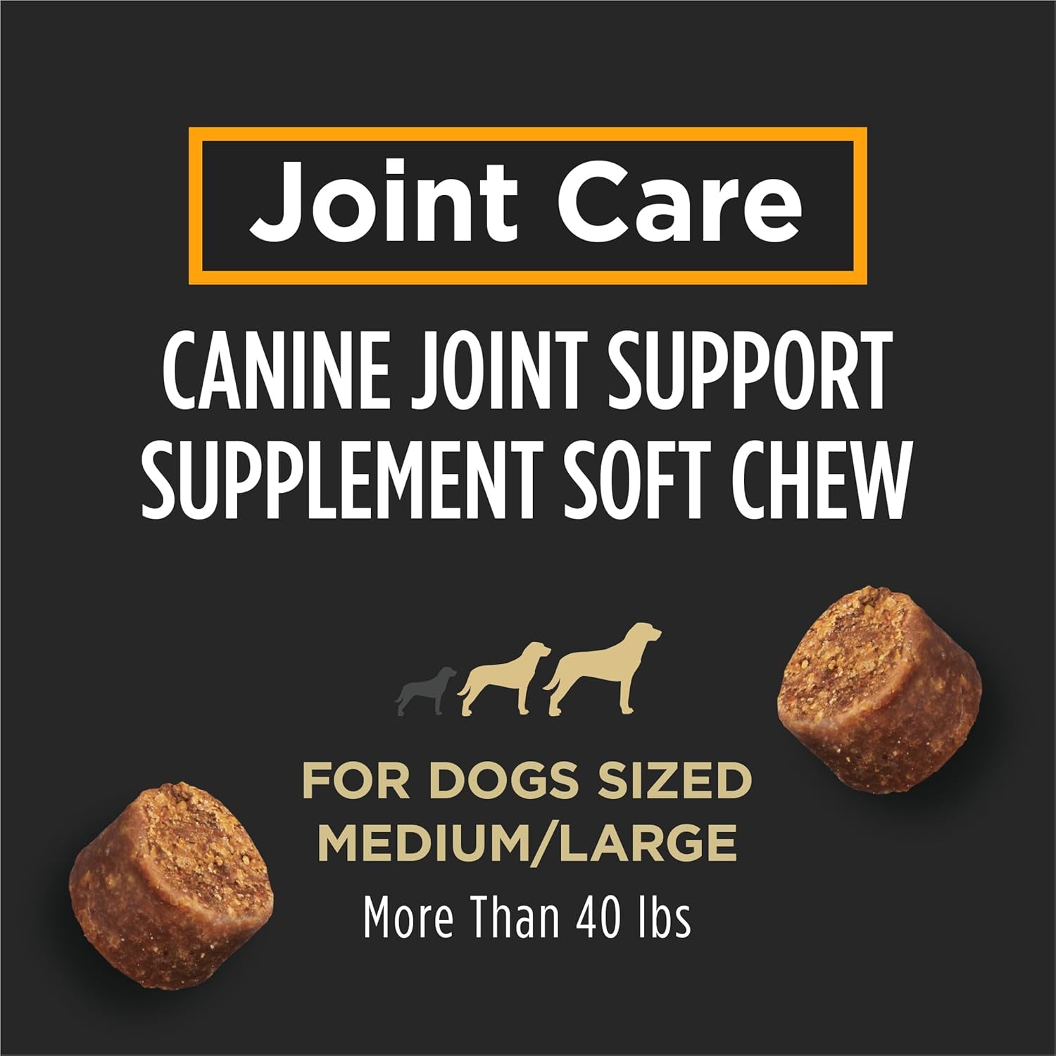Joint Care Mobility Large Breed Dog Joint Supplement