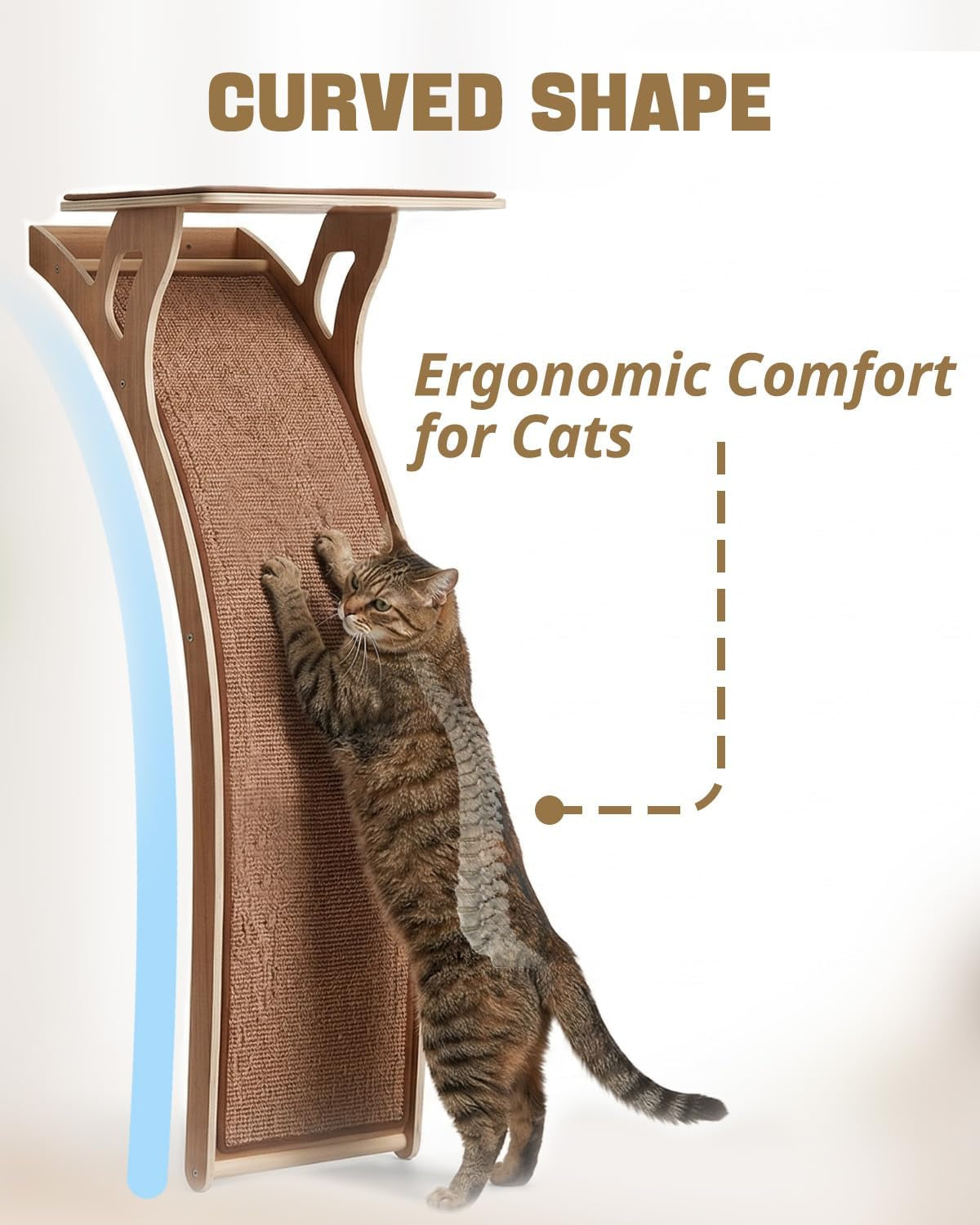 JKX Window Perch Con Rampa · Cama De Ventana Para Gatos Senior