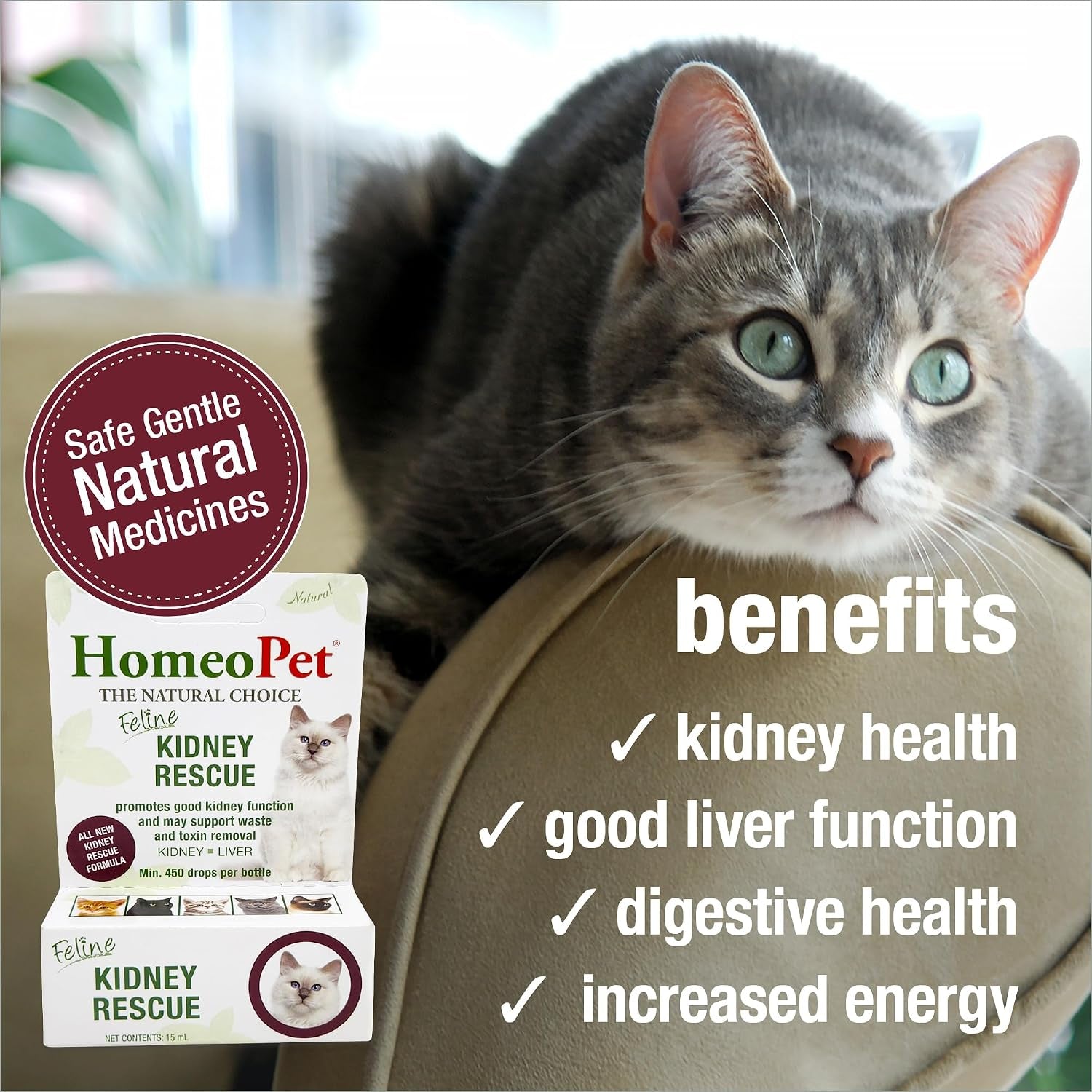 Feline Kidney Rescue · Apoyo Renal Para Gatos Senior