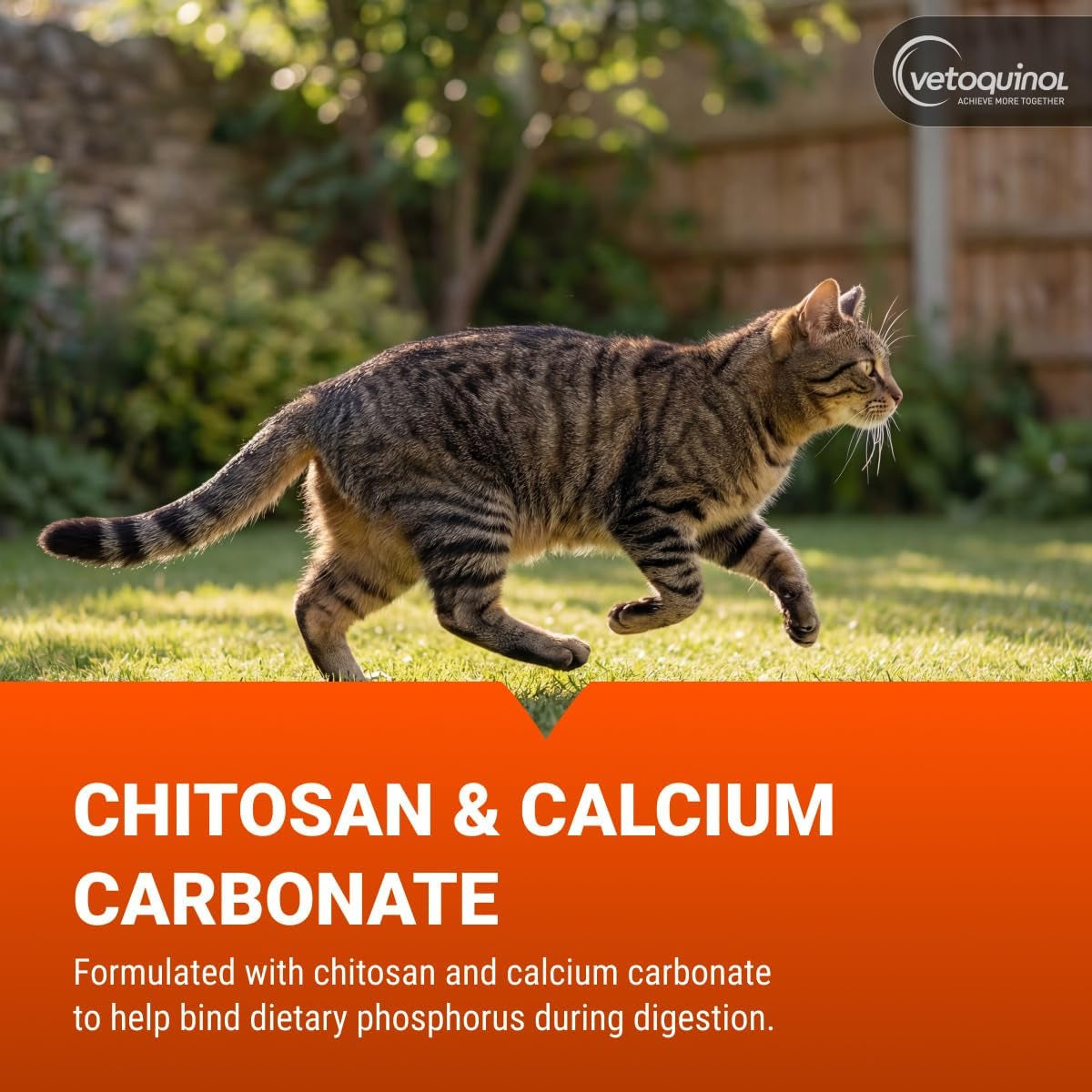 Epakitin · Soporte Renal Recomendado Por Veterinarios