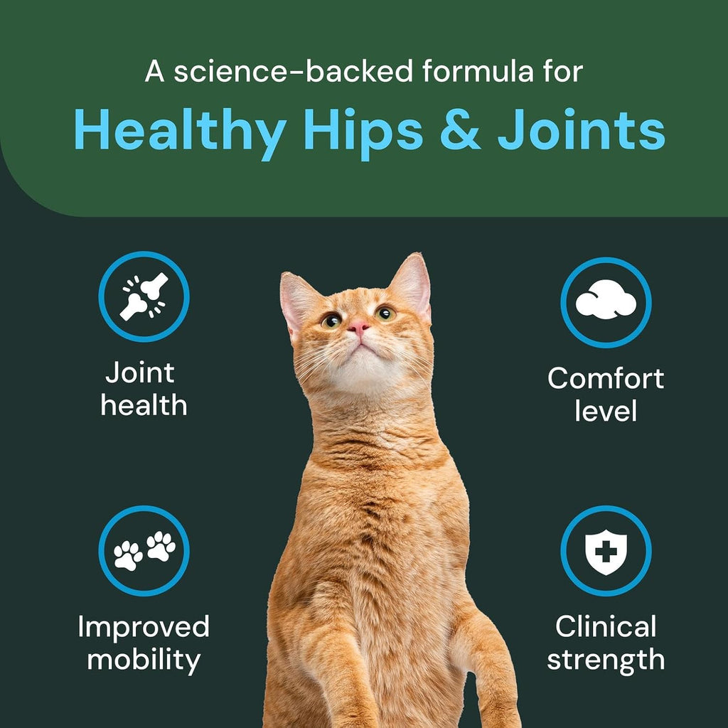 Veterinary Strength Healthy Hip & Joint Chews for Cats