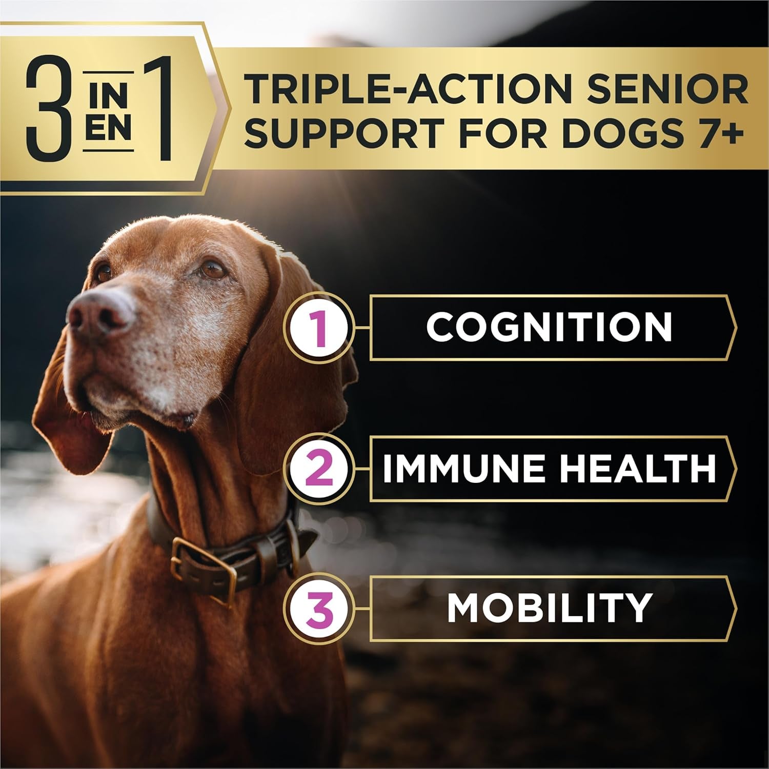 Purina Pro Plan | Dog | Senior 7+ | Advantedge Senior Support plus | Dry | 12 Lb