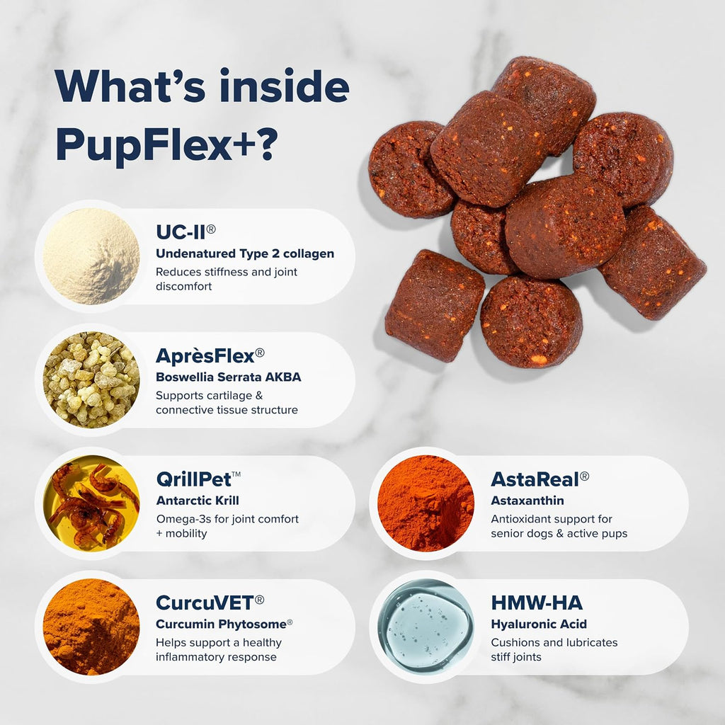 Pupflex+ Hip and Joint Supplement Dogs, UC-II Collagen (60 Ct)