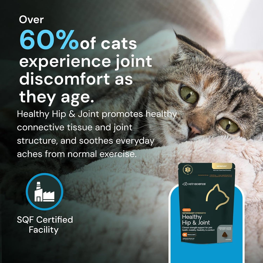 Veterinary Strength Healthy Hip & Joint Chews for Cats
