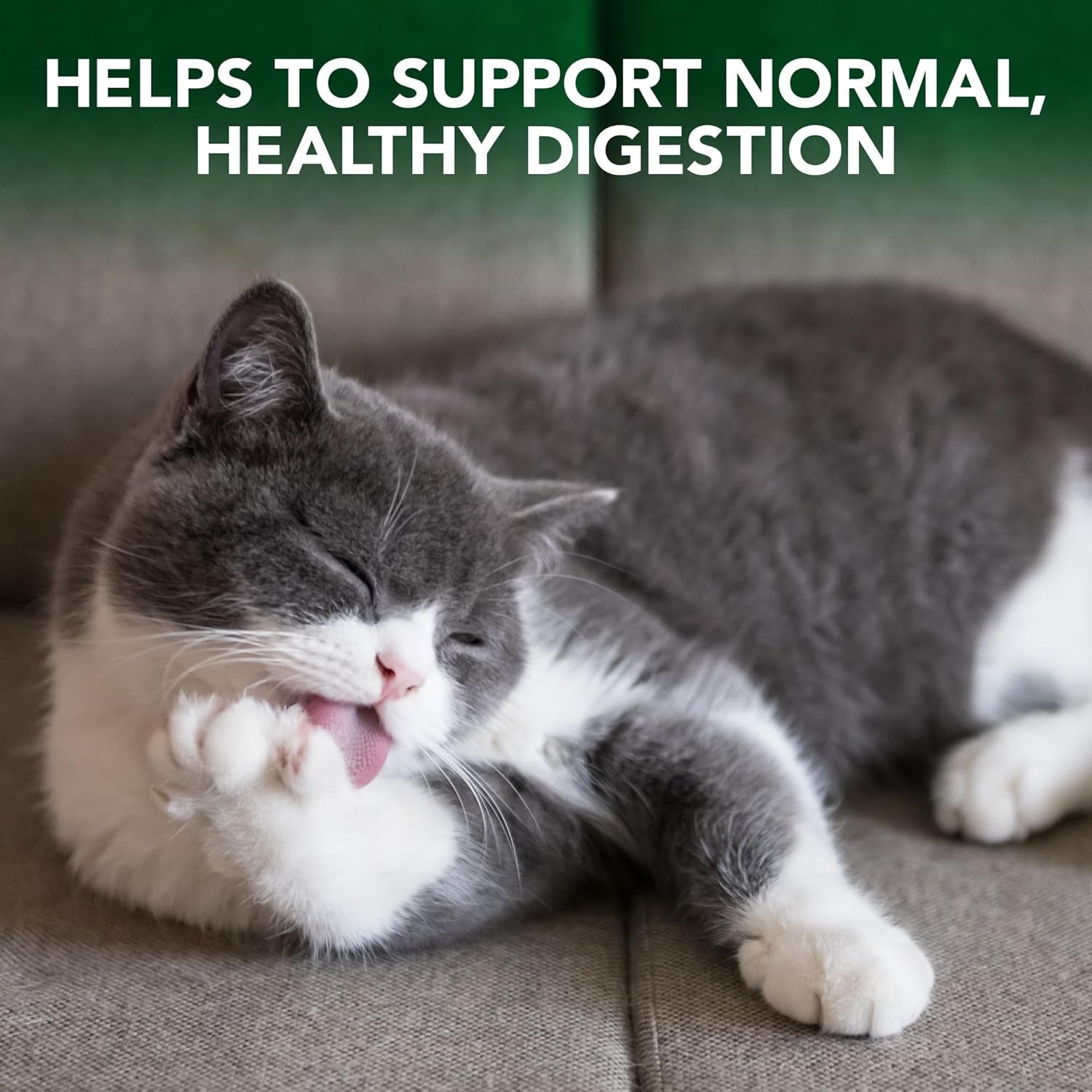 Hairball Relief Digestive Aid Para Gatos Senior