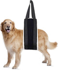 Senior dog lift sling supporting hind legs on a walk