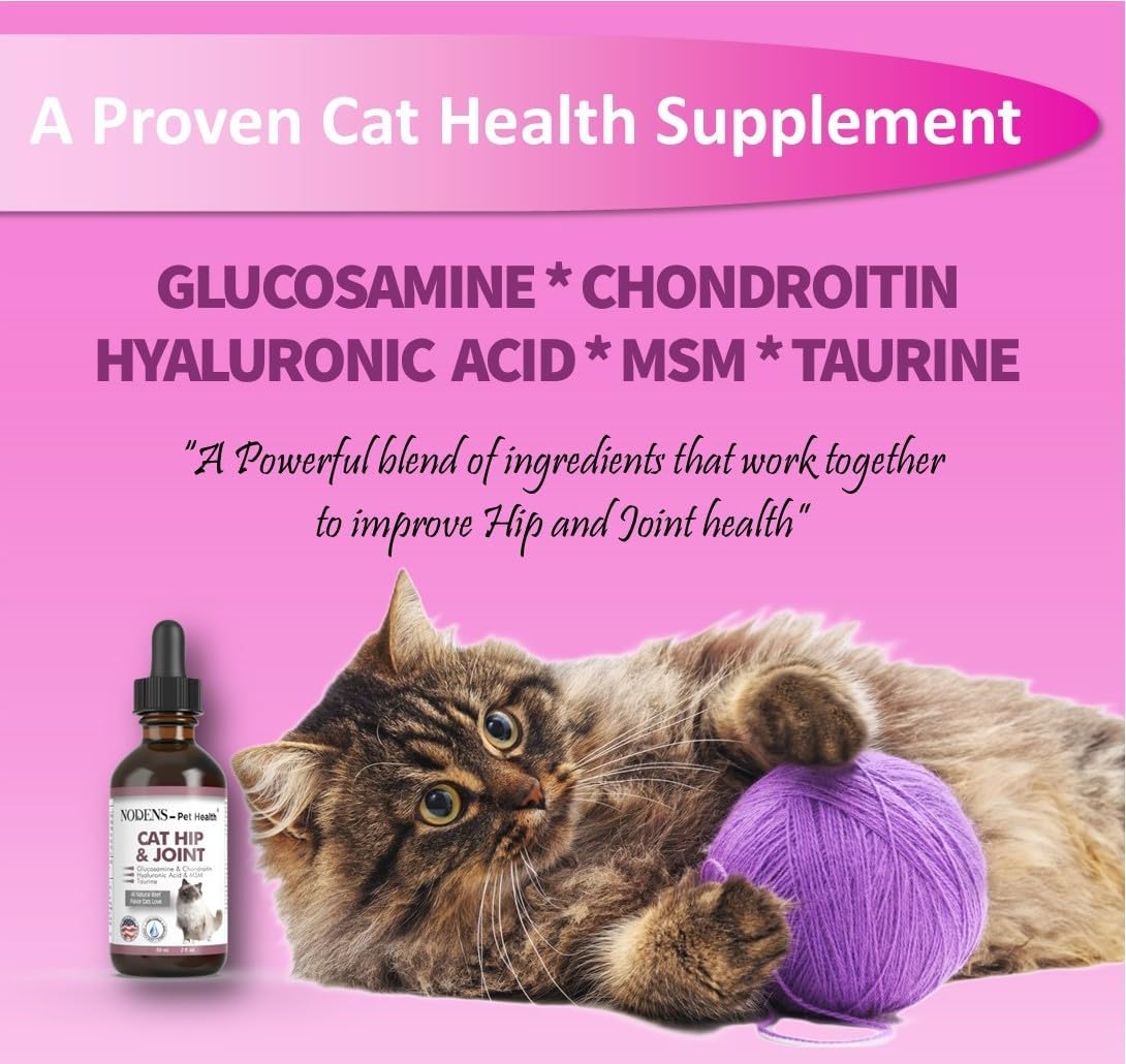 Liquid glucosamine for senior cats - easy food topper