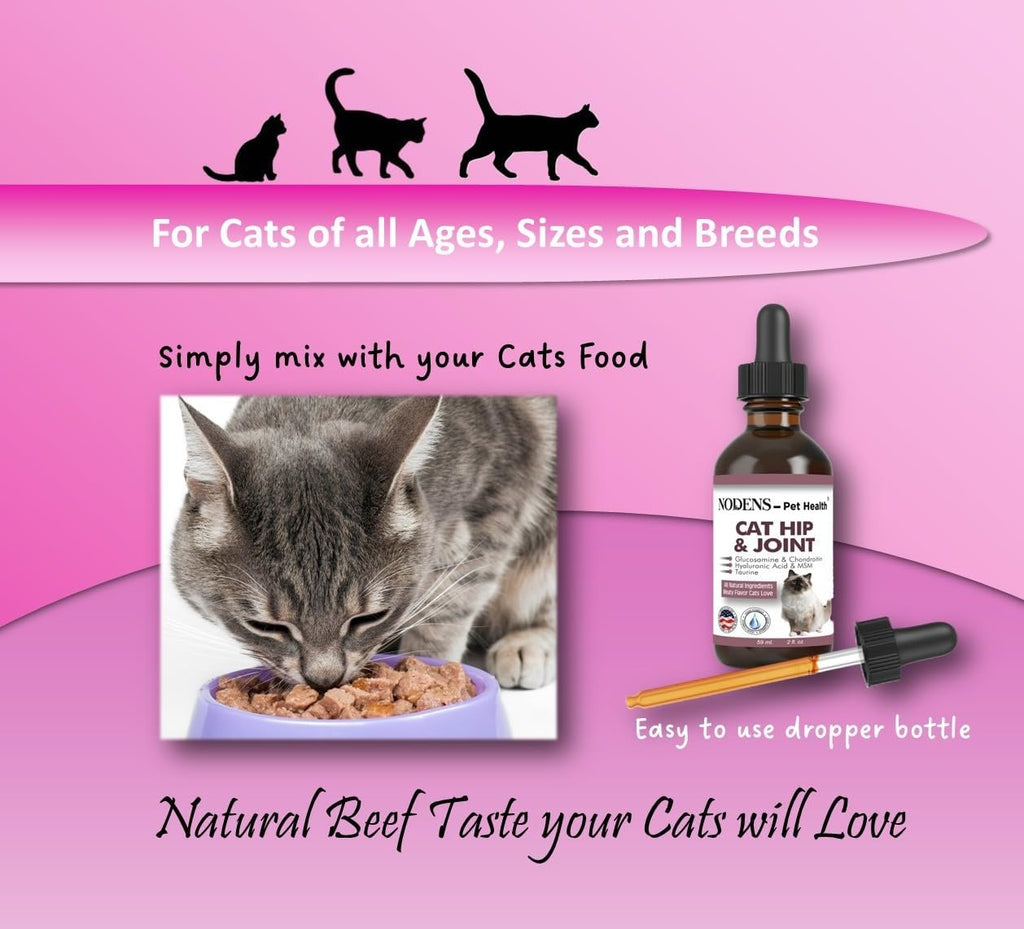 How to serve senior cat joint supplement