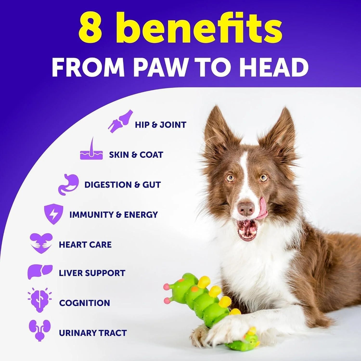 Dog Multivitamin Chewable with Glucosamine 20 in 1 Dog Vitamins And