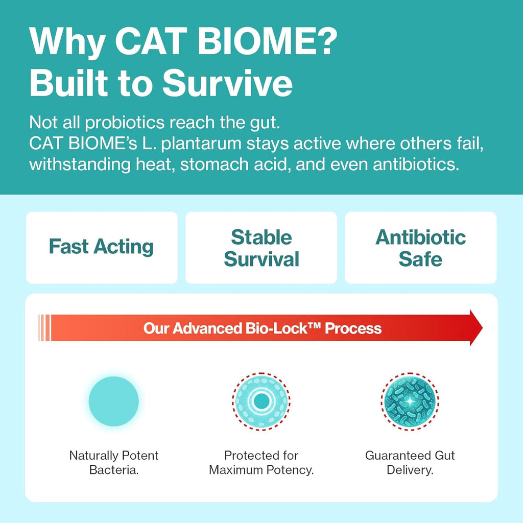 Cat Biome Probiotic · Digestión Diaria Para Gatos Senior