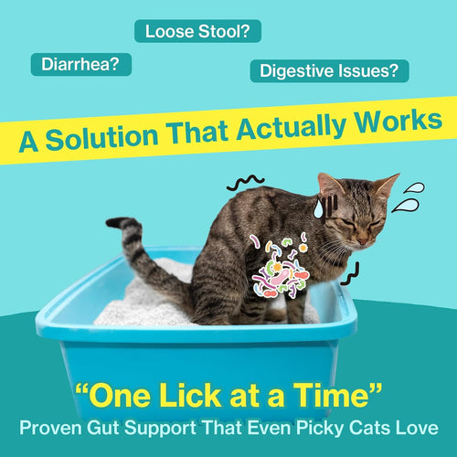 Cat Biome daily probiotic for senior cats — 30 lickable sachets
