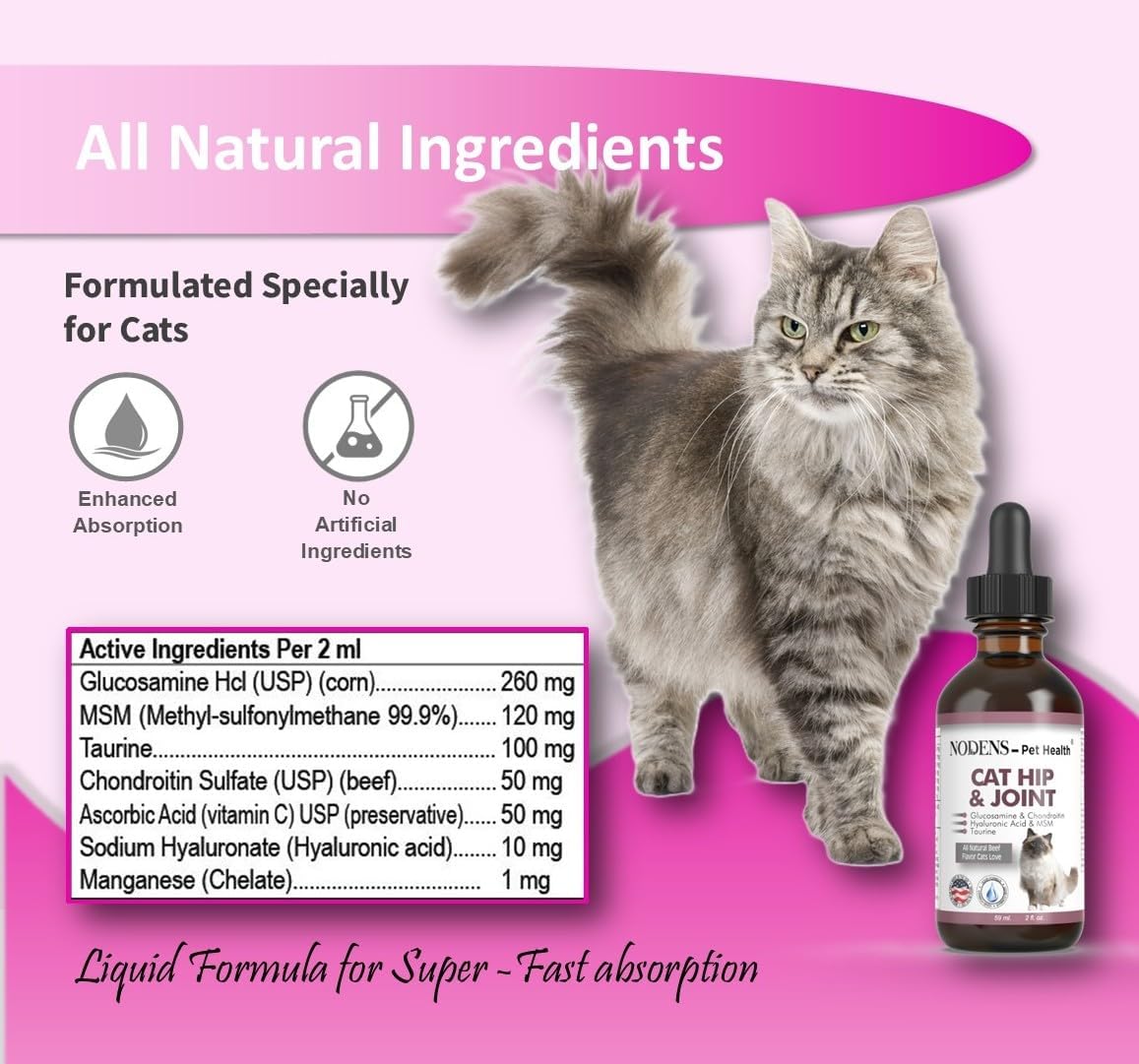 Key ingredients for senior cat joint health