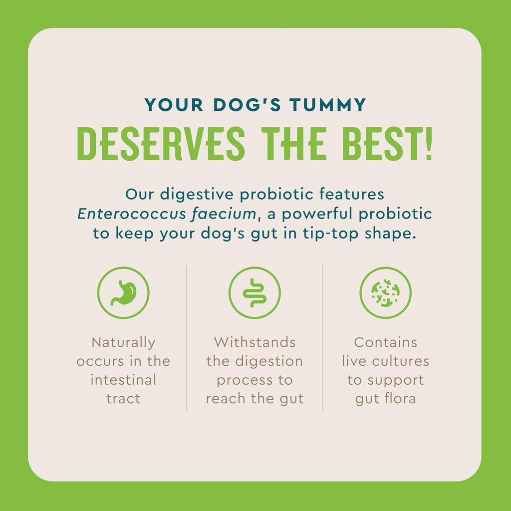 Probiotic benefits for senior dog gut health