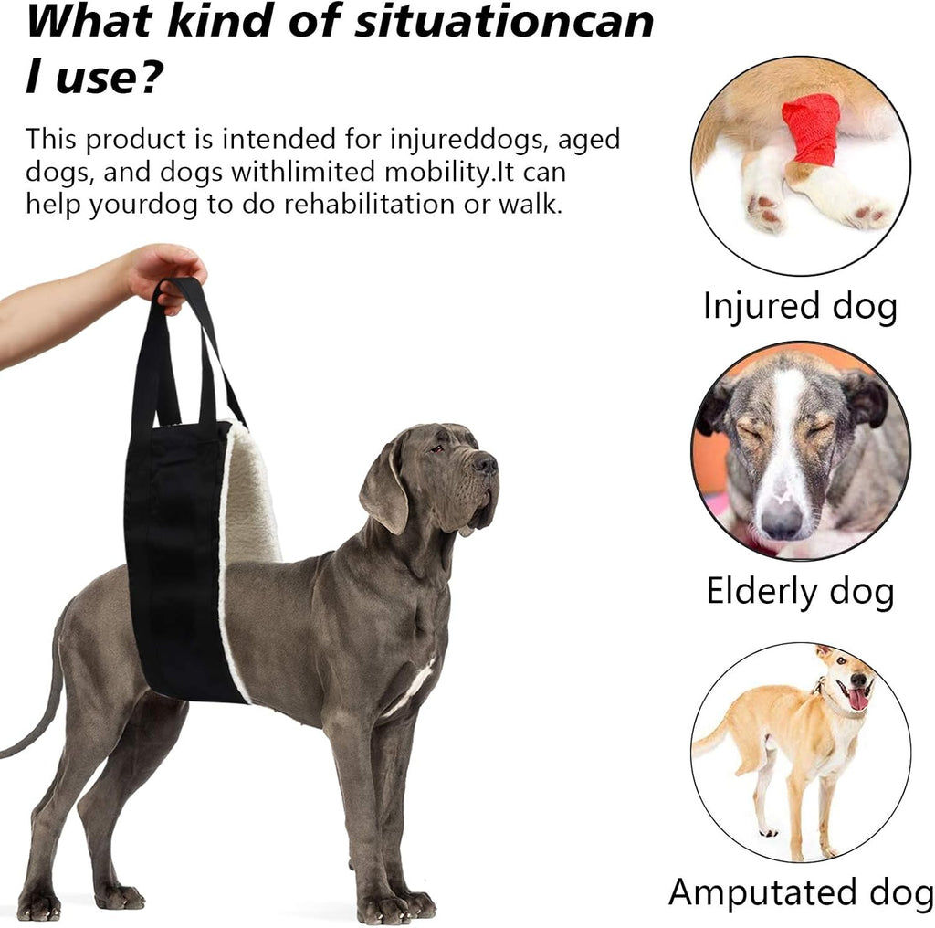 Dog lift harness helping senior dog up the stairs