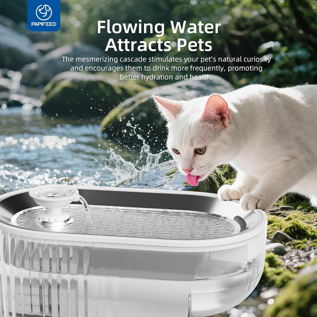 Fuente De Agua De Acero Inoxidable Para Gatos Senior (2.5L)