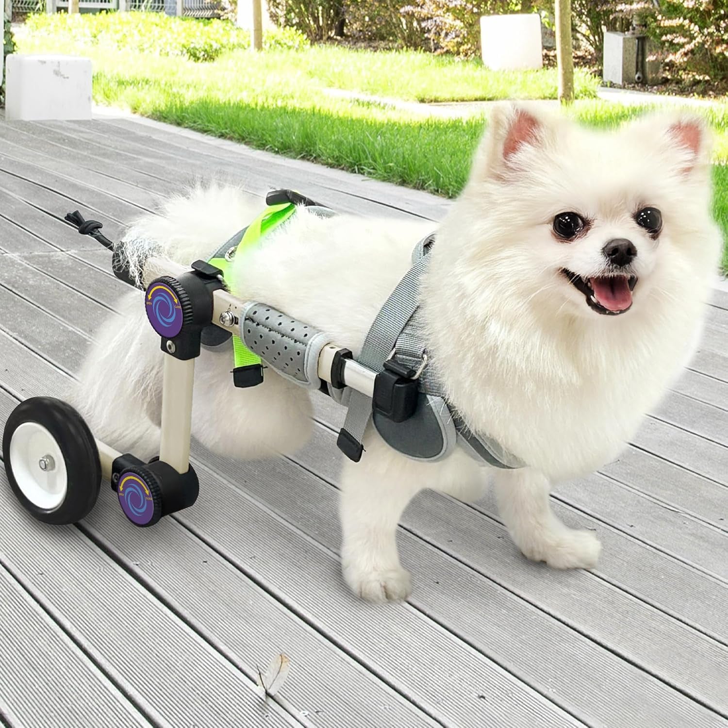 | Dog | Senior Mobility | Rear-Leg Wheelchair | Keep Walking Together