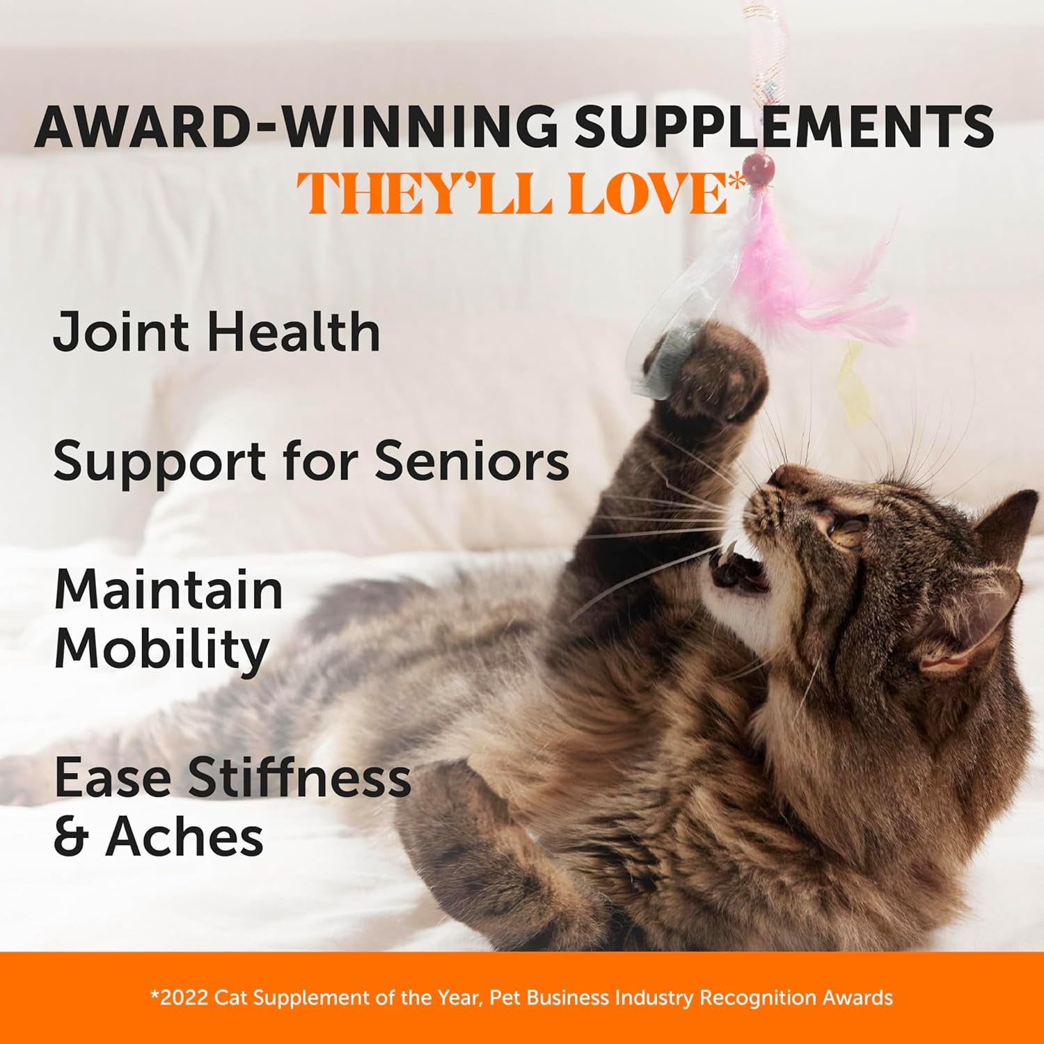 Senior Cat Joint Supplement Crunchy Creamy Hip + Joint for Cats (90-Day Supply)