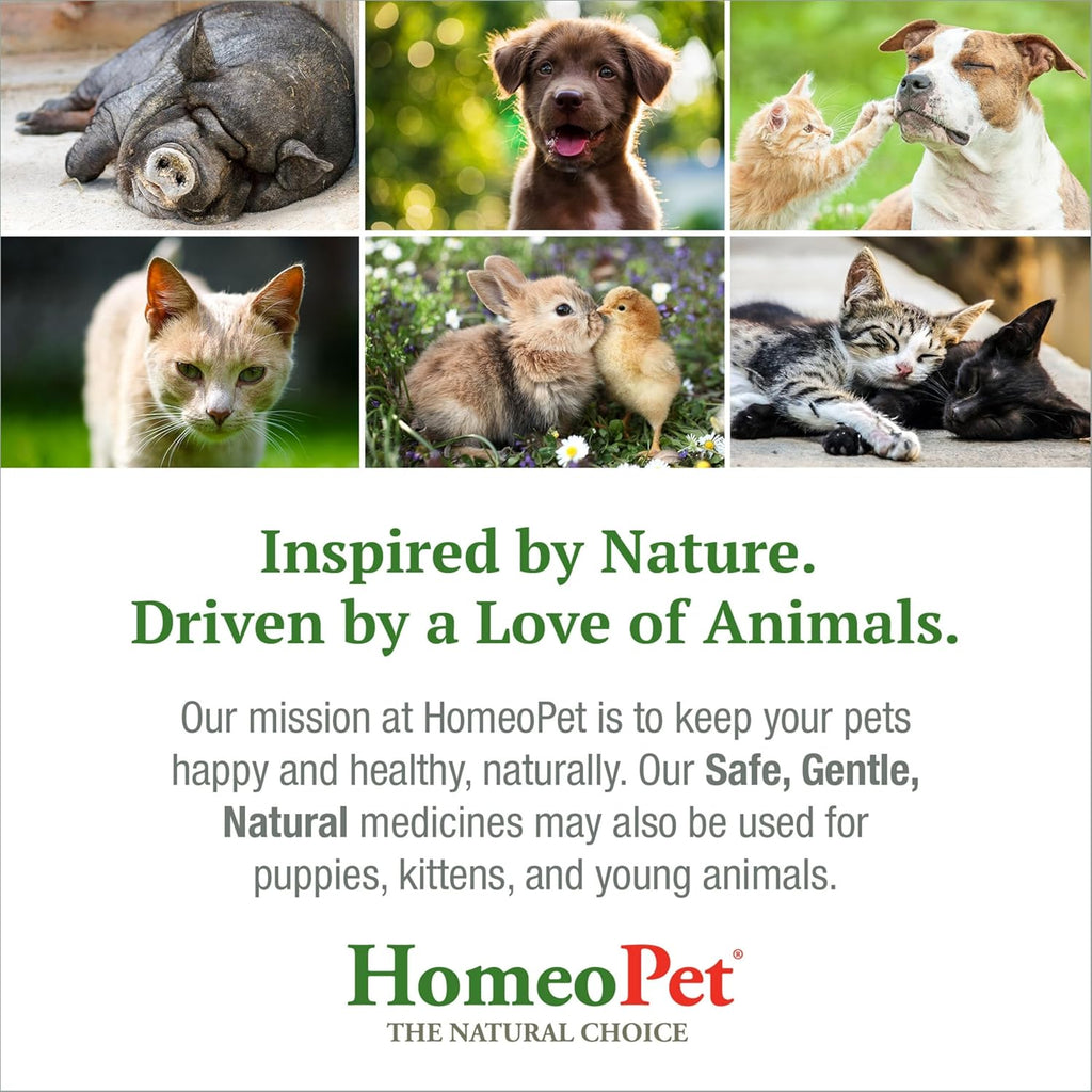 Feline Hairball · Control Natural De Bolas De Pelo