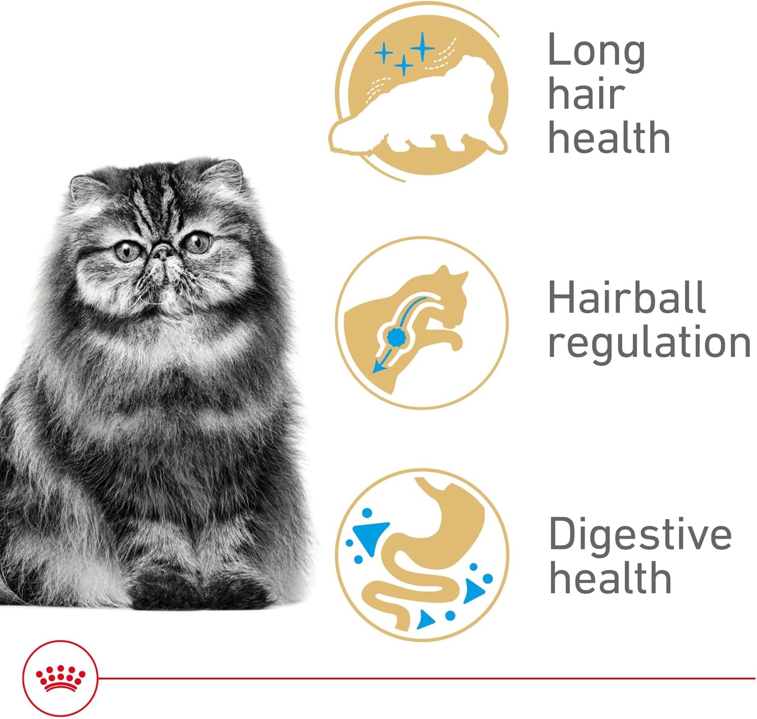 ROYAL CANIN Feline Breed Nutrition Persian Adult Dry Cat Food, 7 Lb Bag | Tailored Nutrition for Persian Cats, Specialized Kibble Shape, Supports Healthy Coat, Ideal for Adult Cats