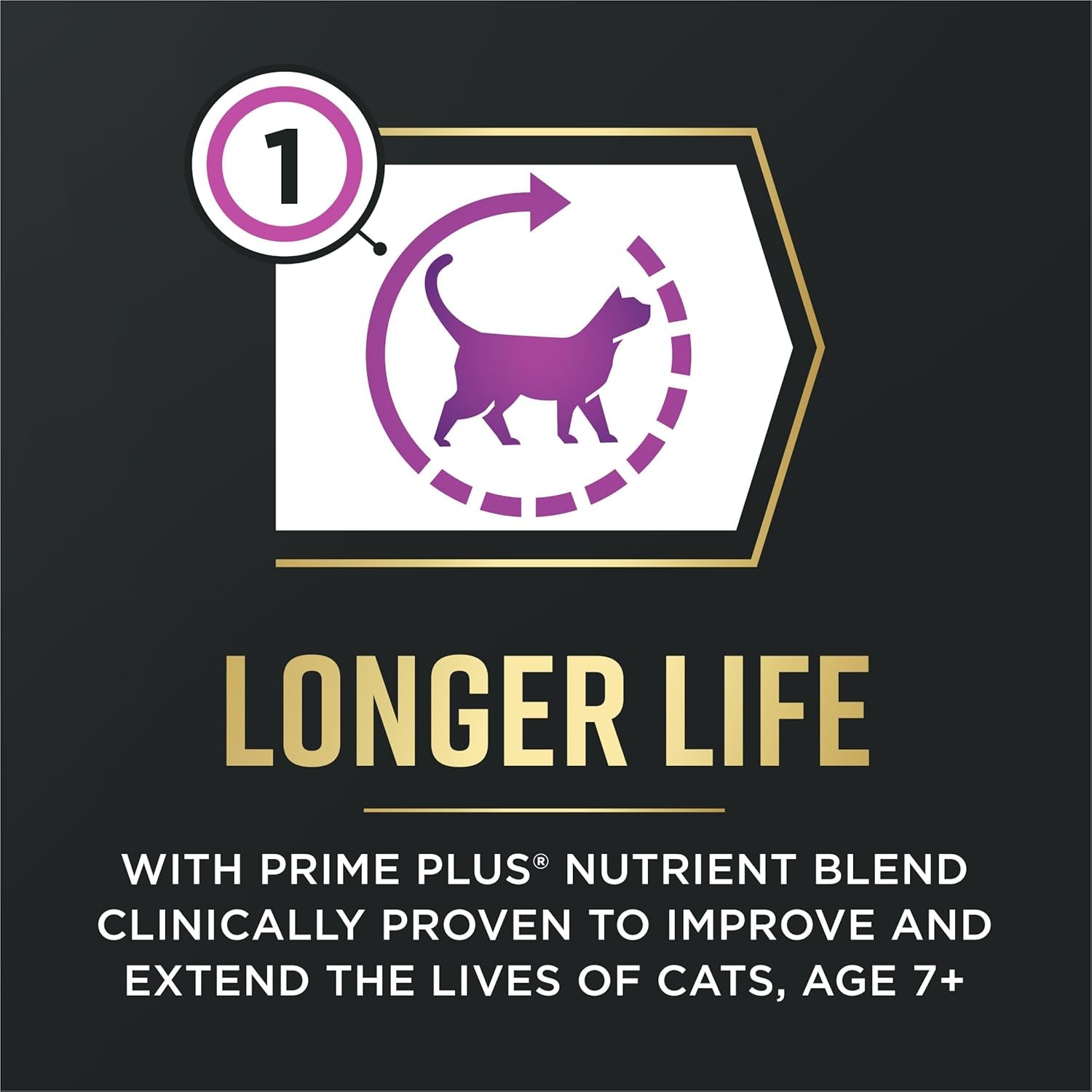 Purina Pro Plan | Cat | Senior 7+ | Advantedge Senior Support plus | Dry | 5 Lb
