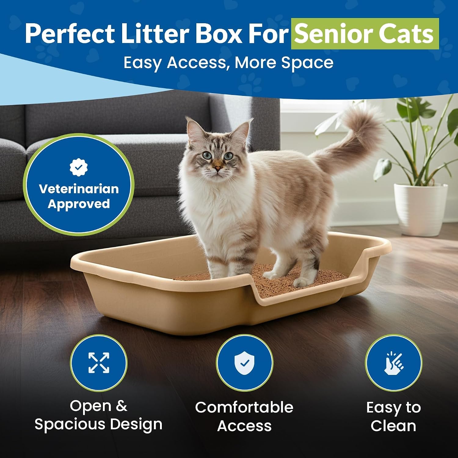 Kittygohere | Cat | Senior Comfort | Low-Entry Litter Box | Easy Access 2-Pack