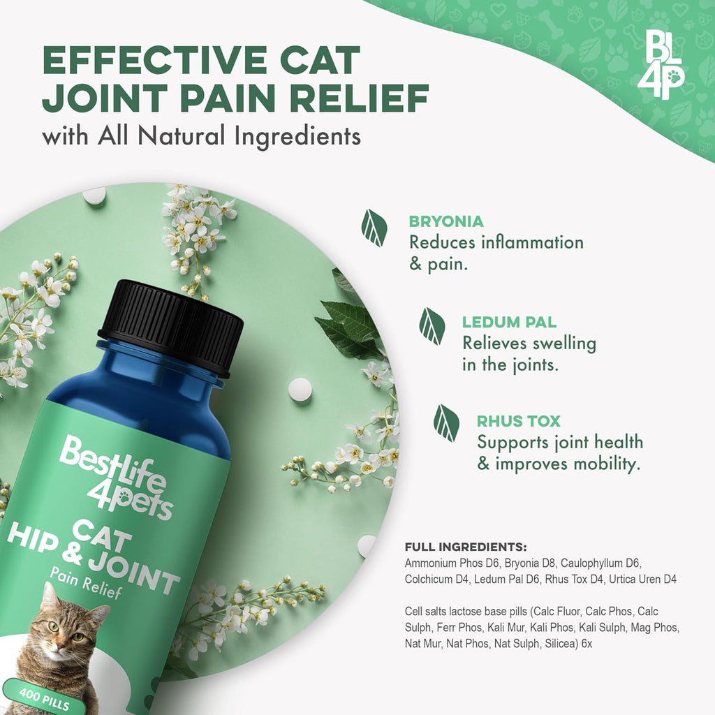 Cat Joint & Mobility · Soporte Articular Senior