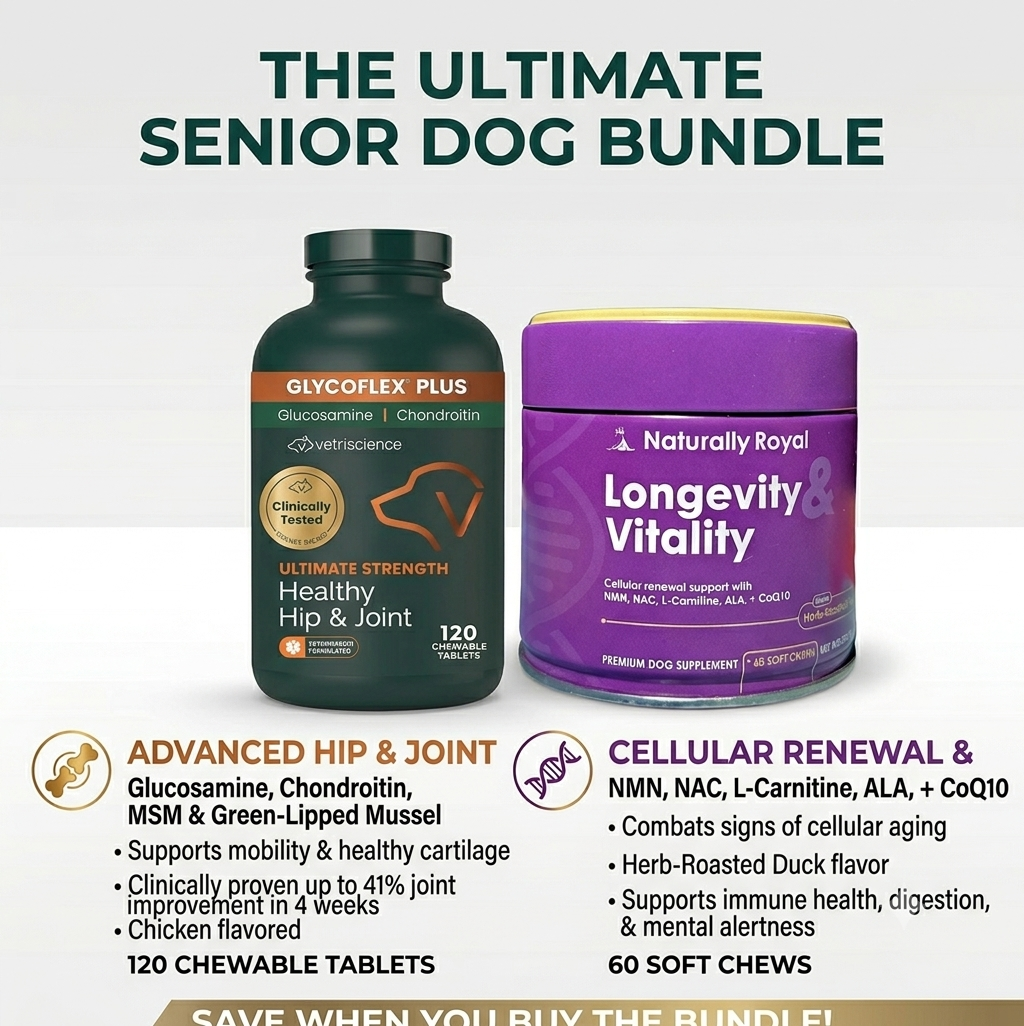 Complete senior dog wellness bundle — supplements, treats and comfort essentials