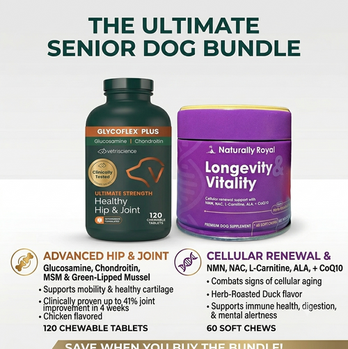 Complete senior dog wellness bundle — supplements, treats and comfort essentials
