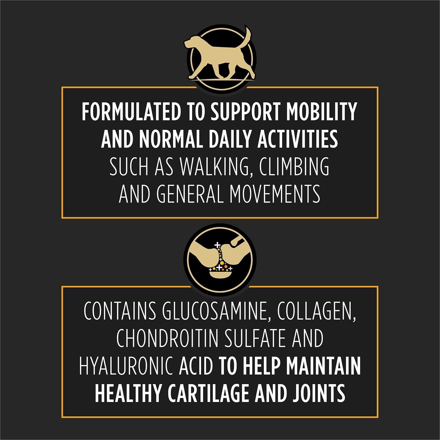 Joint Care Mobility Large Breed Dog Joint Supplement