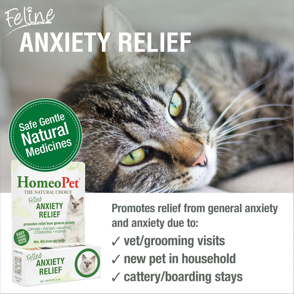 Feline Anxiety Relief · Calma Natural Para Gatos Mayores