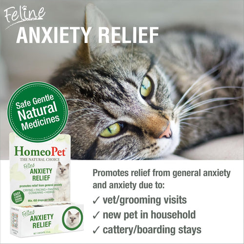 HomeoPet feline anxiety relief drops — natural calm for older cats