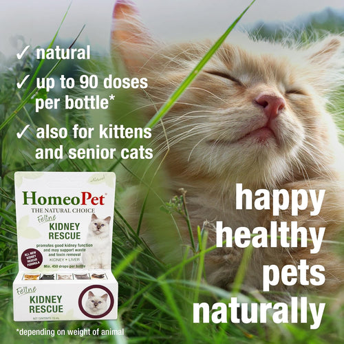 HomeoPet Feline Kidney Rescue drops — kidney support for senior cats