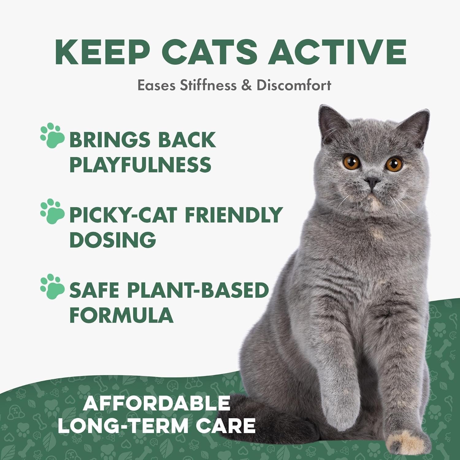 Cat Joint & Mobility · Soporte Articular Senior
