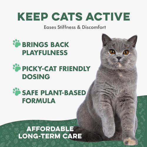BestLife4Pets senior cat joint and mobility supplement — 400 mini pills