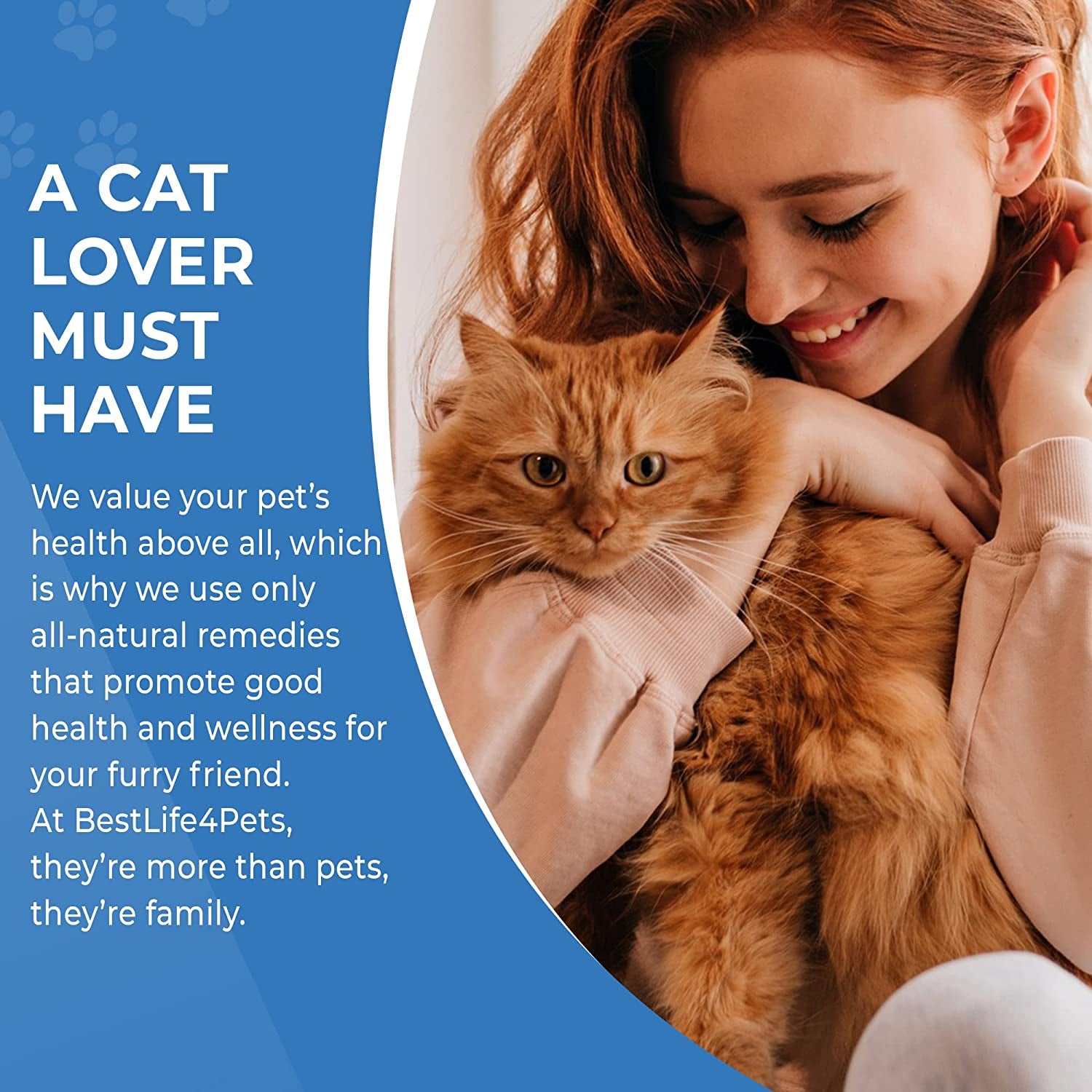 Cat Joint & Mobility · Soporte Articular Senior