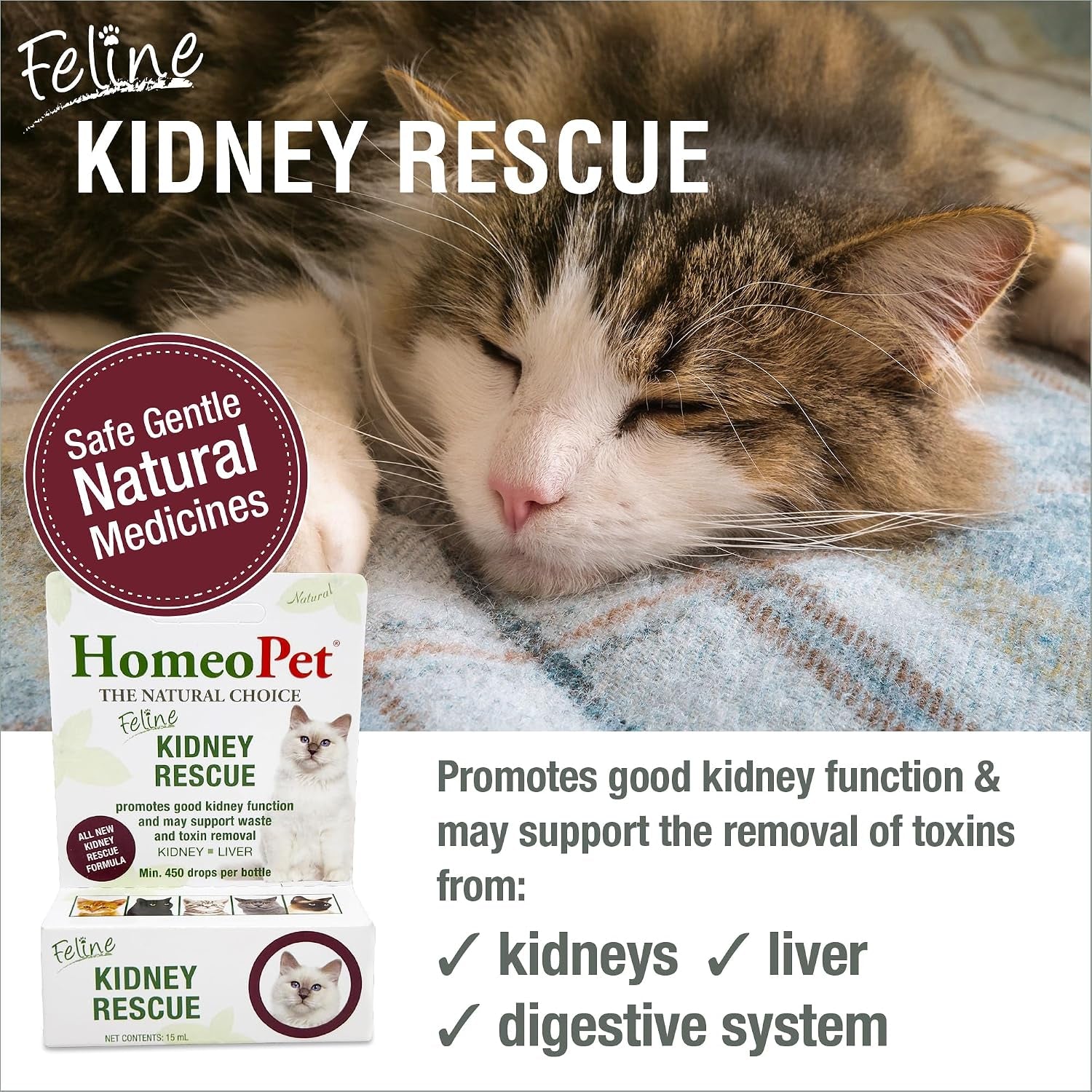 Feline Kidney Rescue · Apoyo Renal Para Gatos Senior